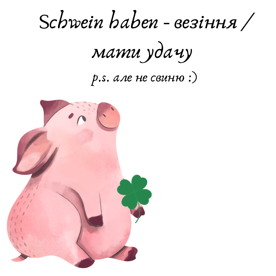 schwein haben