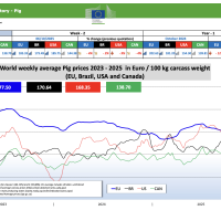 Прогноз закупівельних цін на свиней на 45-й тиждень 2025 р.