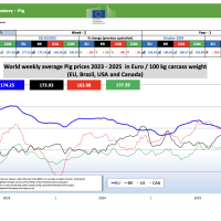 Прогноз закупівельних цін на свиней на 47-й тиждень 2025 р.