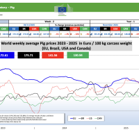 Прогноз закупівельних цін на свиней на 49-й тиждень 2025 р.