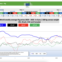 Прогноз закупівельних цін на свиней на 50-й тиждень 2025 р.