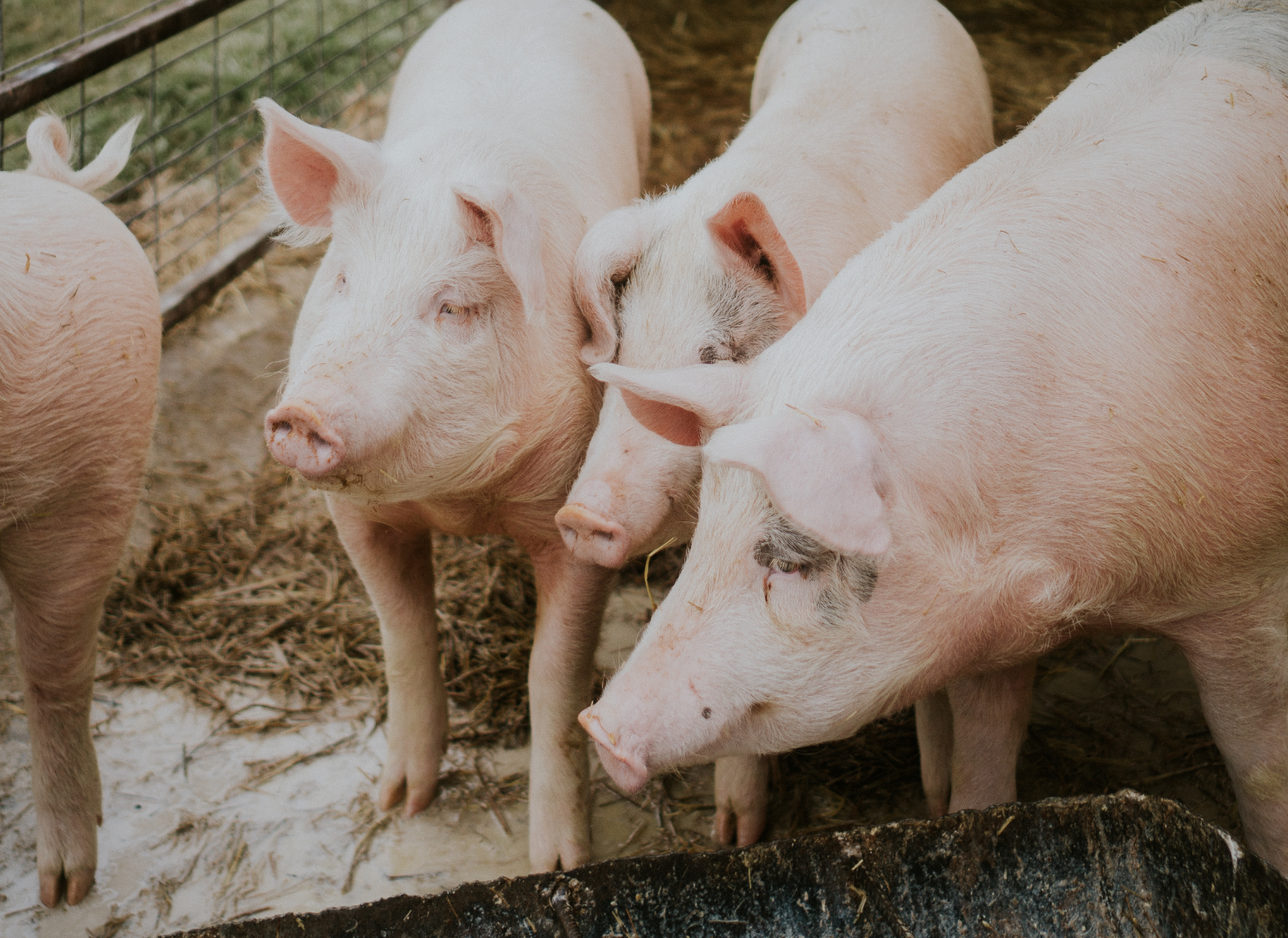 untitled 5c 20i 40379968 1