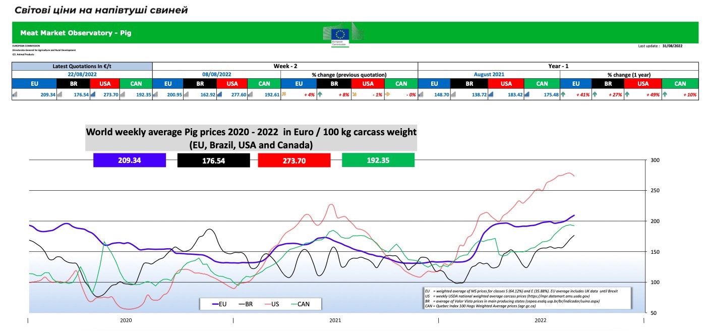 world pig price 36 2022